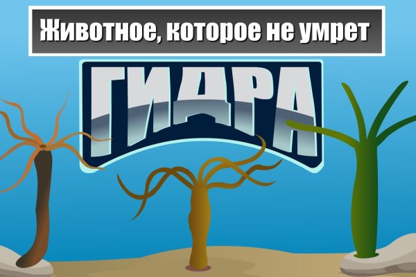 Ссылка на сайт кракен в тор