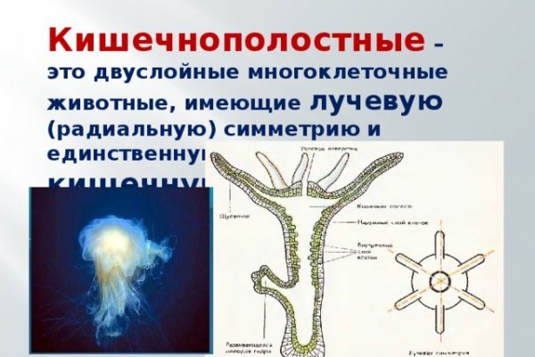 Блэкспрут зеркало кракен